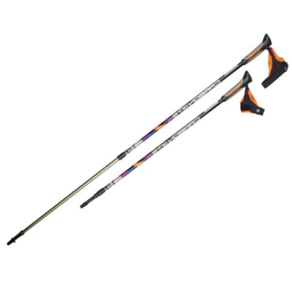 Палки для скандинавской ходьбы Carbon GTS